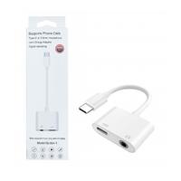 PLATOON PL-8823/A USB/AUX TO TYPE-C ÇEVİRİCİ(A)