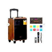 BAAB B-Q8 600W 8 İNÇ USB/TF/BLUETOOTH MİKRAFONLU TAŞINABİLİR SES SİSTEMİ 