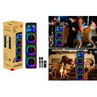 DR-1213 3X12 İNÇ ÇİFT MİKRAFONLU USB/TF/FM/BLUETOOTH TAŞINABİLİR SES SİSTEMİ 