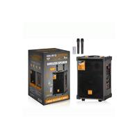 NDR-C8 1000W 8 İNÇ USB/TF/BLUETOOTH ÇİFT MİKRAFON TAŞINABİLİR SES SİSTEMİ 