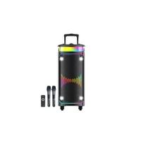 PLATOON PL-4362 Platoon SD-USB-Karaoke Mİkrofonlu RGB Işıklı Bluetooth Hoparlör