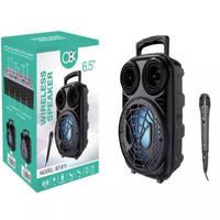 PLATOON PL-611 USB/SD/BLUETOOTH MİKRAFONLU TAŞINABİLİR SES SİSTEMİ 
