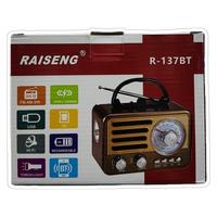 RAISENG R-137BT FM/USB/TF/BLUETOOTH NOSTARJİ RADYO 