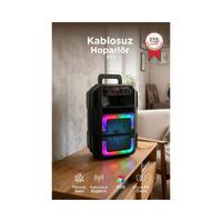 TORİMA D25 USB/TF/BLUETOOTH MİKRAFONLU TAŞINABİLİR SES SİSTEMİ 