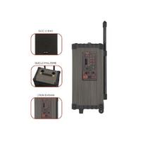 TORİMA D46 Bluetooth Hoparlör USB TF BT TWS FM Çift Mikrofonlu Parti Speaker 