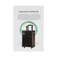 Torima D46 Kahverengi USB, TF, BT, TWS, FM Çift Mikrofonlu Hoparlör Parti Speaker