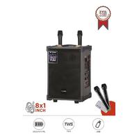 TORİMA D71 PROFESYONAL ÇİFT MİKRAFONLU USB/TF/BLUETOOTH TAŞINABİLİR SES SİSTEMİ 