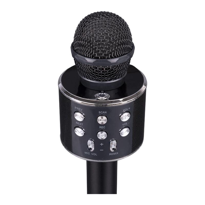 Asonic AS-M09 Karaoke Mikrofon
