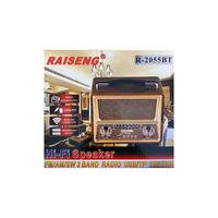 RAISENG R-2055BT FM/USB/TF/BLUETOOTH NOSTARJİ RADYO 